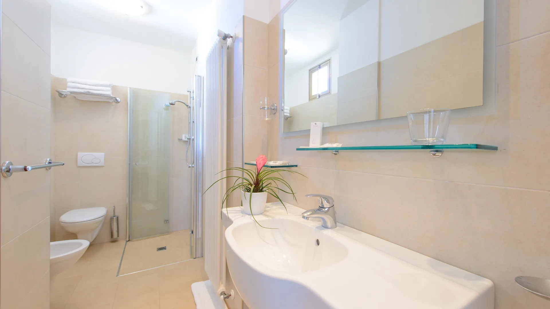 Hotel Zeus Rimini Italy